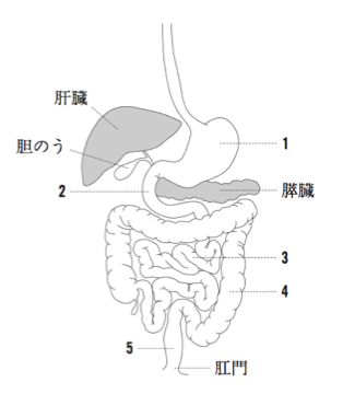 解説画像